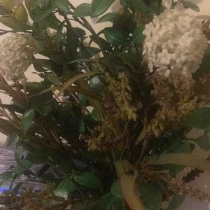 Meet your Posher, Sonya